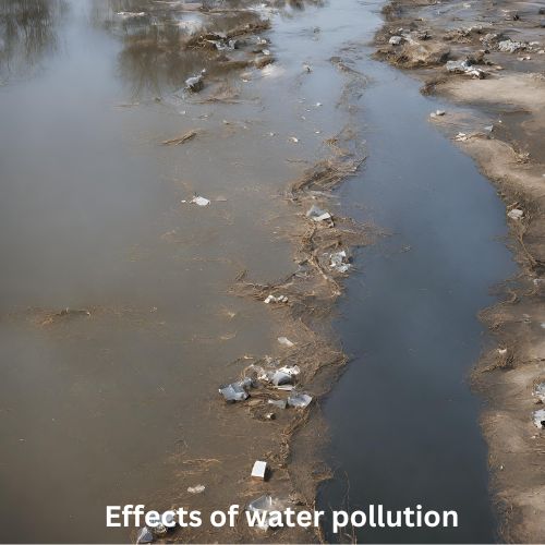 poor water quality effects on humans
water pollution and health
water pollution and human health
effects of poor water quality
water pollution and its impact on human health
